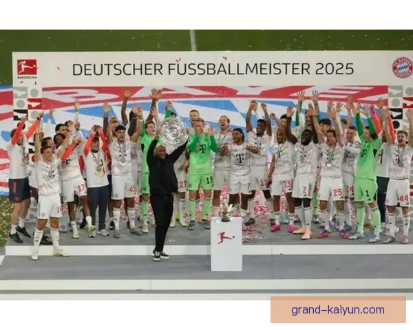 德甲各队阵容改革